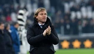 بافيل نيدفيد