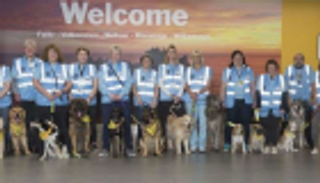 "احتضان الكلاب".. أحدث طريقة لعلاج "فوبيا الطيران"