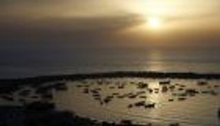 الجهود المصرية تنجح في إبرام اتفاق تهدئة بغزة.. ووقف إطلاق النار يدخل حيز التنفيذ