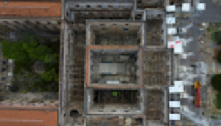 مدير متحف ريو دي جانيرو المحترق يطلب 250 ألف دولار دعما طارئا