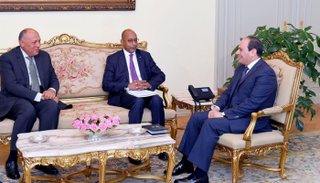السيسي والمدير التنفيذي لوكالة الاتحاد الأفريقي للتنمية "النيباد" 