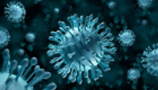 رصد أول إصابة بفيروس جدري القردة النادر في سنغافورة