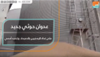 عدوان حوثي على غذاء اليمنيين بالحديدة.. وتنديد أممي