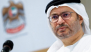 قرقاش: التحقيق بتخريب السفن يتم بحرفية.. ولنا قراءاتنا واستنتاجاتنا بشأن الحادث