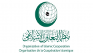 التعاون الإسلامي تطالب المجتمع الدولي بتحمل مسؤولياته تجاه تخريب السفن