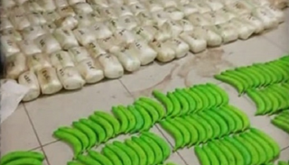 مخدر الكوكايين كان مخبأ في شحنة من الموز