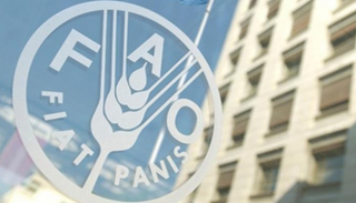 شعار منظمة الأغذية والزراعة "فاو"