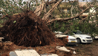 إعصار "فاني" في الهند