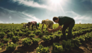 ضعف الليرة التركية يصعد بأسعار المنتجين ممهدا لـ"قفزة التضخم"