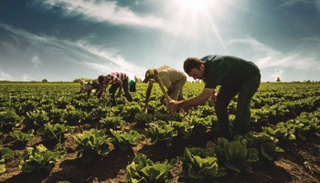 ضعف الليرة التركية يصعد بأسعار المنتجين ممهدا لزيادة التضخم