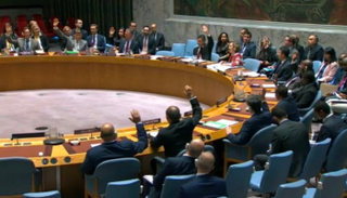 مجلس الأمن الدولي