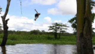 تخفيض الميزانية يعرض التنوّع الحيوي في الأمازون للخطر  