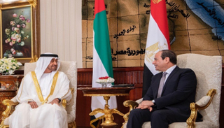 الشيخ محمد بن زايد آل نهيان خلال لقاء الرئيس المصري عبدالفتاح السيسي