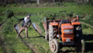 المزارعون الأتراك يغرقون في مستنقع الديون.. وأردوغان عاجز عن انتشالهم