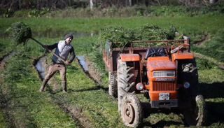 8 آلاف مزارع تركي أمام المحاكم بسبب تعثرهم في سداد الديون 