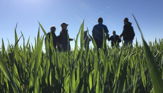 مجموعة ضغط زراعية أمريكية تدعو لإنهاء الحرب التجارية مع الصين