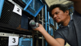 "ماك آرثر".. سباق في الفلبين يفتك بالحمام الزاجل