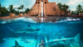 الكشف عن أفضل الملاهي المائية في العالم لعام 2019