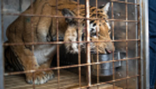 اعتقال مالك حديقة حيوان بكندا نتيجة الإهمال وسوء المعاملة