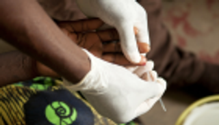 "الصحة العالمية": خلو الجزائر والأرجنتين من الملاريا