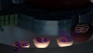 عرض تخطيطي لآلية عمل العقد الثلاثية 