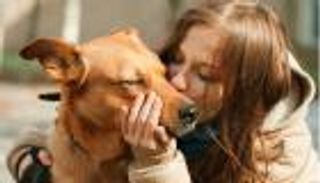 أصحاب الحيوانات الأليفة أكثر عرضة للإصابة بالقولون العصبي