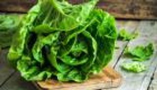 الفوائد الصحية والغذائية للخس