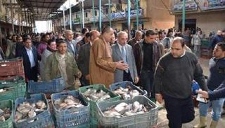 بورصة كفر الشيخ -أقصى شمال مصر - للأسماك