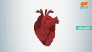 إنفوجراف.. 7 نصائح تحمي قلبك في العيد