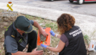  "عملية بليزارد".. إحباط تهريب آلاف الزواحف في 22 دولة