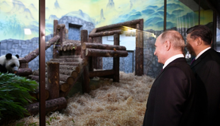  شي جين بينج وفلاديمير بوتين خلال مراسم تقديم الباندا