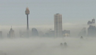 الضباب يخفي معالم سيدني.. تأجيل رحلات جوية وتحذيرات للسفن