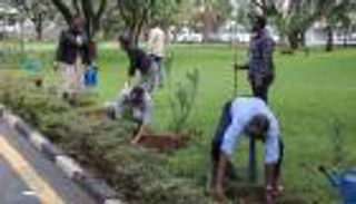 الكنيسة الأرثوذكسية الإثيوبية تنضم لمبادرة غرس 4 مليارات شتلة