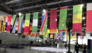 وزارة الطيران المصرية تنهي استعداداتها لأمم أفريقيا