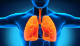 زيارة المدن الأكثر تلوثا تُسرع تدهور وظائف القلب والرئتين