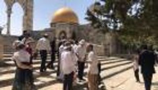 الأزهر و"الإفتاء المصرية" يدينان اقتحام الأقصى