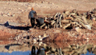 اليابان تتوقع امتداد ظاهرة "إل نينيو" حتى الخريف