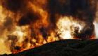 حريق في غابات كاليفورنيا يلتهم 40 فدانا