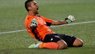 دانييل فيجا