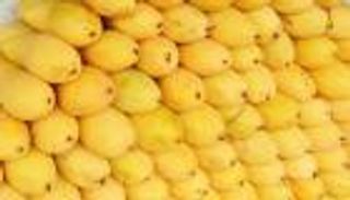 الفلبين تغرق في المانجو.. والحكومة تعلن الطوارئ