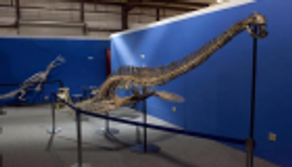 وحش "لوخ نيس".. اكتشاف عظام أكبر ديناصور بحري