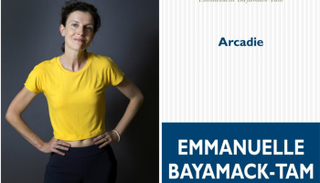 رواية أركادي للكاتبة الفرنسية إيمانويل باياماك 