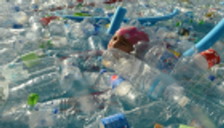 الإنسان قد يبتلع "بلاستيك" يكفي لصنع "فيزا" أسبوعيا