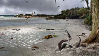 "التيروصورات المجنحة" طارت بعد الولادة مباشرة