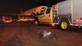 بقايا المقذوف الحوثي في مطار أبها السعودي