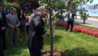 عبدالله بن زايد يزرع "شجرة التسامح" في بوخارست