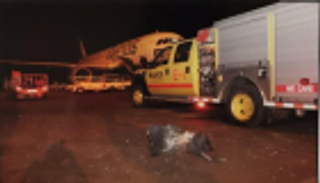 الجزائر تدين بشدة الهجوم الحوثي الإرهابي على مطار أبها