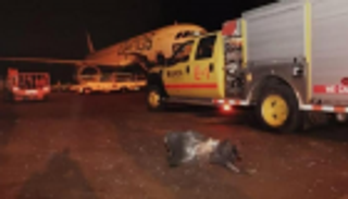 محللان: إيران تثير التوترات ولا ترغب في السلام