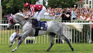 جانب من سباق للخيول في ألمانيا