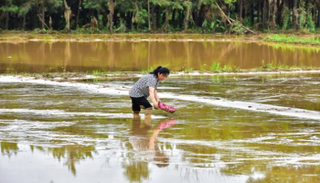 السيول تجتاح جنوب ووسط الصين